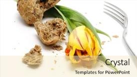  Presentation with tulip - Beautiful presentation theme featuring yellow tulip and a lot of crumbs of bread backdrop and a blonde colored foreground