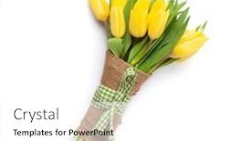  Presentation with white flowers - Slide deck having yellow-tulip-flowers-bouquet background and a white colored foreground