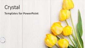  Presentation with pineapple a yellow wooden - Amazing slide set having yellow tulips over wooden table backdrop and a sky blue colored foreground