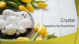  Presentation with easter bunny yellow spring flower - Audience pleasing slide set consisting of yellow tulips with dotted quail backdrop and a white colored foreground