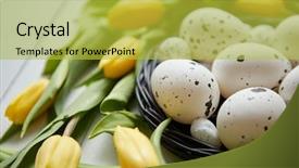  Presentation with easter bunny yellow spring flower - Presentation design featuring yellow tulips with dotted quail background and a yellow colored foreground