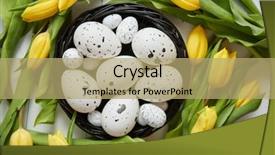 Presentation with quail - Cool new PPT theme with yellow tulips with dotted quail backdrop and a coral colored foreground