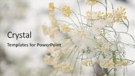  Presentation with nireal processing plant - Colorful slides enhanced with yellow umbrella of a plant backdrop and a lemonade colored foreground