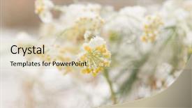  Presentation with molecular plant - Presentation theme enhanced with yellow umbrella of a plant background and a lemonade colored foreground