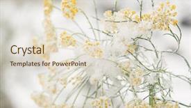  Presentation with umbrella - Slides consisting of yellow umbrella of a plant background and a lemonade colored foreground