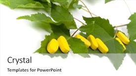  Presentation with yellow green - Slide set having yellow vitamin pills over green background and a  colored foreground