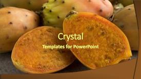  Presentation with yellow - Slides enhanced with yellow whole and half prick background and a tawny brown colored foreground