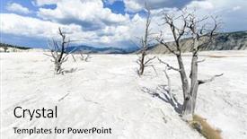 Presentation with hot spring - Beautiful PPT layouts featuring yellowstone national park - dead tree backdrop and a white colored foreground