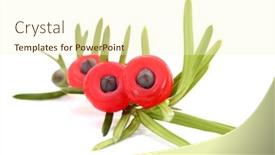  Presentation with branch - Cool new PPT layouts with yew-taxus-baccata-branch backdrop and a cream colored foreground