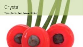  Presentation with branch - Cool new slide set with yew-taxus-baccata-branch backdrop and a mint green colored foreground