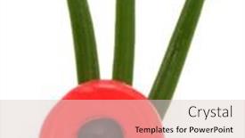  Presentation with leaves - Slide deck with yew-taxus-baccata-leaves background and a lemonade colored foreground