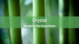  Presentation with bamboo - Audience pleasing presentation theme consisting of yin yang - zen bamboo backdrop and a seafoam green colored foreground