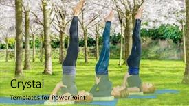  Presentation with yoga - PPT theme having yoga group practicing salamba sarvangasana shoulder stand in a blooming spring park background and a yellow colored foreground