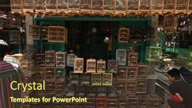  Presentation with pasar - Slide deck having yogyakarta-indonesia-july-31-2011 background and a tawny brown colored foreground