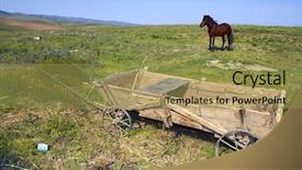  Presentation with yoke - Amazing slide deck having yoke broken - romanain carriage with horse backdrop and a gold colored foreground