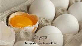  Presentation with eggshell - 