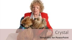  Presentation with settle - Audience pleasing theme consisting of yorkshire terrier breeder trying to get two dogs to settle down for a portrait isolated backdrop and a coral colored foreground