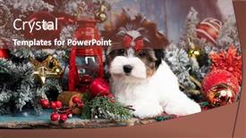  Presentation with merry christmas - Beautiful slide set featuring yorkshire-terrier-sits-with-christmas backdrop and a tawny brown colored foreground