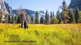  Presentation with yosemite - Presentation design featuring yosemite-valley-autumn-yellowed-grass background and a gold colored foreground