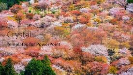  Presentation with japan - Slides having yoshinoyama-nara-japan-spring-landscape background and a coral colored foreground