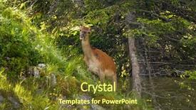  Presentation with tibetan mountains - Amazing slides having yound deer on the slope backdrop and a tawny brown colored foreground