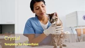  Presentation with beautiful hispanic woman - PPT layouts consisting of young-adult-hispanic-woman-enjoying background and a coral colored foreground