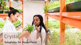  Presentation with agronomist - PPT layouts having young-african-agronomist-pointing background and a coral colored foreground