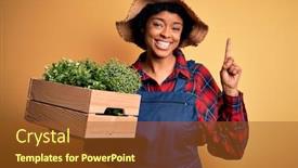  Presentation with african american woman question - Theme enhanced with young-african-american-farmer-woman background and a tawny brown colored foreground