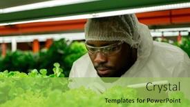 Presentation with vertical farm - PPT theme featuring young-african-male-agroengineer background and a yellow colored foreground