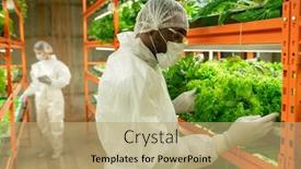  Presentation with vertical farm - PPT theme consisting of young-african-male-agroengineer background and a coral colored foreground