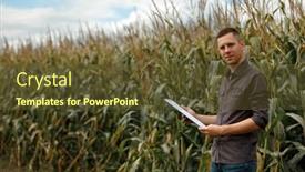  Presentation with agronomist - PPT theme featuring young-agronomist-holds-a-paper background and a tawny brown colored foreground