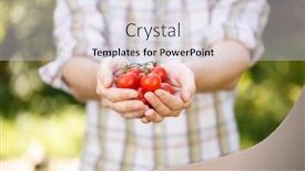  Presentation with agronomist - Beautiful theme featuring young-agronomist-in-plaid-shirt backdrop and a sky blue colored foreground