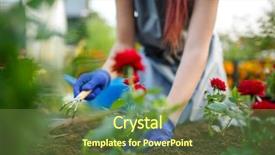  Presentation with agronomist - Slides featuring young agronomist woman in rubber background and a tawny brown colored foreground