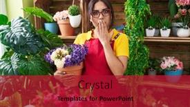  Presentation with hand holding plant - 