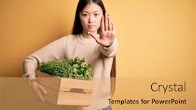  Presentation with yellow wood - PPT theme enhanced with young-asian-woman-holding-wood background and a yellow colored foreground