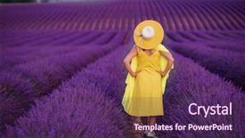  Presentation with new orleans yellow and purple - PPT theme having young asian woman in yellow background and a violet colored foreground