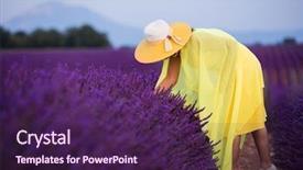  Presentation with new orleans yellow and purple - Slide set having young asian woman in yellow background and a wine colored foreground