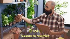  Presentation with bald - 