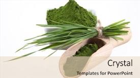  Presentation with spirulina - Colorful PPT theme enhanced with young barley and chlorella spirulina backdrop and a lemonade colored foreground