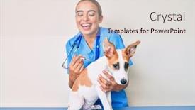  Presentation with vaccine - Cool new PPT theme with young-beautiful-blonde-veterinarian-woman backdrop and a lemonade colored foreground