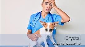  Presentation with stressed - Cool new presentation design with young-beautiful-blonde-veterinarian-woman backdrop and a light blue colored foreground