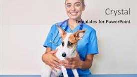  Presentation with health - PPT layouts consisting of young-beautiful-blonde-veterinarian-woman background and a lemonade colored foreground