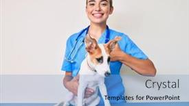  Presentation with health - Cool new presentation theme with young-beautiful-blonde-veterinarian-woman backdrop and a light blue colored foreground