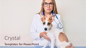  Presentation with negative - PPT theme having young-beautiful-blonde-veterinarian-woman background and a lemonade colored foreground