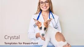  Presentation with cool - PPT layouts consisting of young-beautiful-blonde-veterinarian-woman background and a lemonade colored foreground