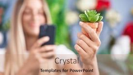  Presentation with young plant - 