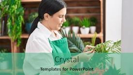  Presentation with young plant - 