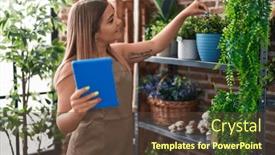  Presentation with young plant - 