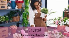  Presentation with young plant - 