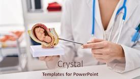  Presentation with fetus - PPT layouts enhanced with young-beautiful-hispanic-woman-gynecologist background and a soft green colored foreground